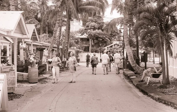 Promenade touristique petit palmier bordé rue Key West avec souvenir — Photo