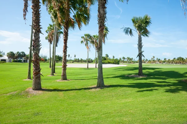 Palm träd cast skugga över golfbanan fairway — Stockfoto