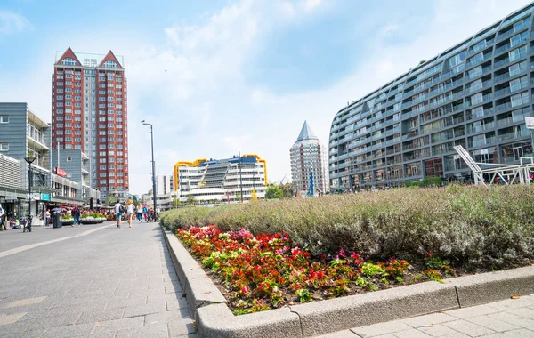 Rotterdam City Square area surrounded by collection architectura — Stock Photo, Image