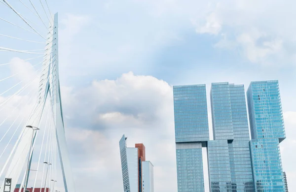 Kabel verblijf Erasmusbrug-Rotterdam — Stockfoto