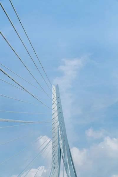 Erasmus schrägseilbrücke rotterdam — Stockfoto