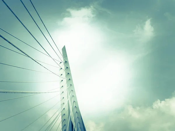 Erasmus Cable Stay Bridge Roterdão — Fotografia de Stock
