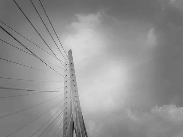 Erasmus Cable Stay Bridge Roterdão — Fotografia de Stock