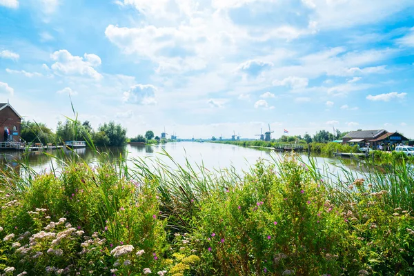 Scenic Kinderdijk area of ponds, fields and windmills. — Stock Photo, Image