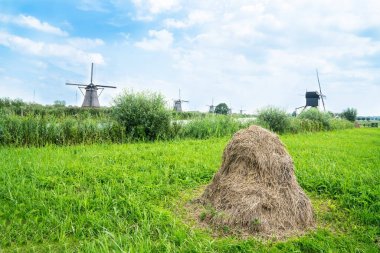 Manzara doğal alanı gölet, alanlar ve yel değirmenleri.