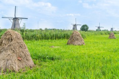 Manzara doğal alanı gölet, alanlar ve yel değirmenleri.