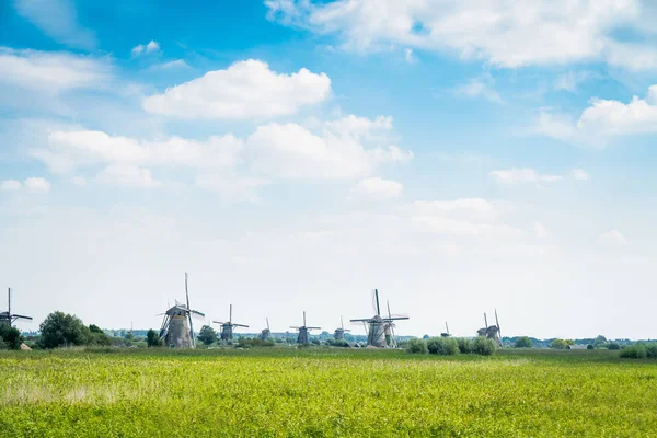 Scenic Kinderdijk área de lagoas, campos e moinhos de vento . — Fotografia de Stock