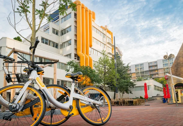 O 앞에 나무에 기대어 자전거를 공유 하는 두 노란색과 흰색 — 스톡 사진