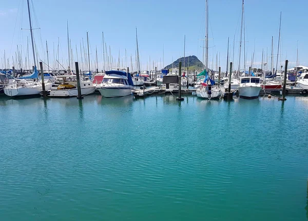 Puerto deportivo de Tauranga con el monte Maunganui — Foto de Stock