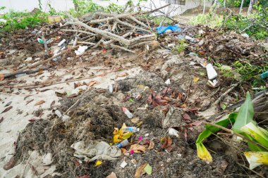 Ko Samui, Tayland - Ocak, 25, 2018; çevre aşağılayıcı 