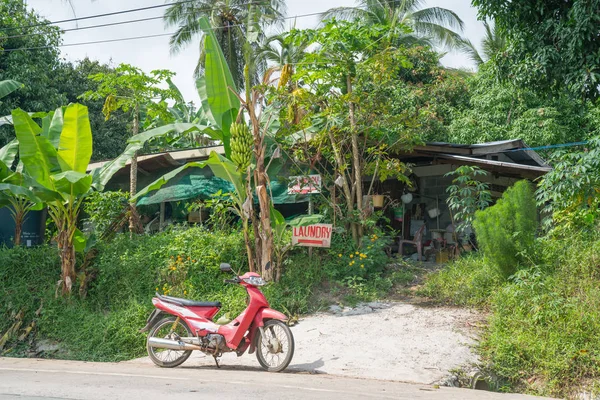 Banana palms and parked motorscooter outside Asian rural laundry — Stock Photo, Image
