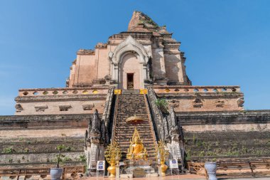 Büyük tuğla yapı Wat Chedi Luang tapınağın kalır