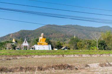 Büyük grotesk Budist keşiş heykel Tay kırsal kesimde.