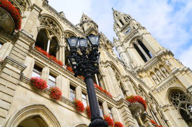 Yakın çekim Gotik mimarisi, Viyana Belediye Binası 