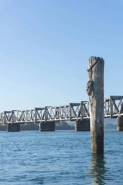 Puerto de Tauranga con puente ferroviario de acero que cruza — Foto de Stock