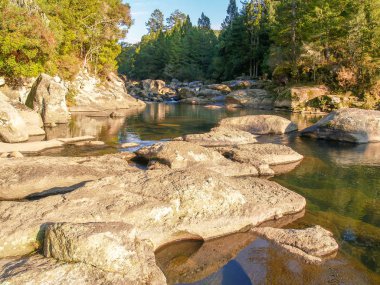 Rocky river Mclaren düşüyor T için önde gelen ağaç gorge aracılığıyla