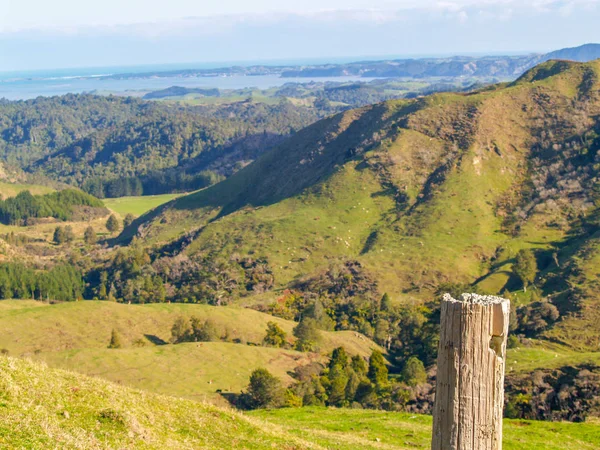 典型的なニュージーランドの海岸沿いの田園地帯を圧延 — ストック写真