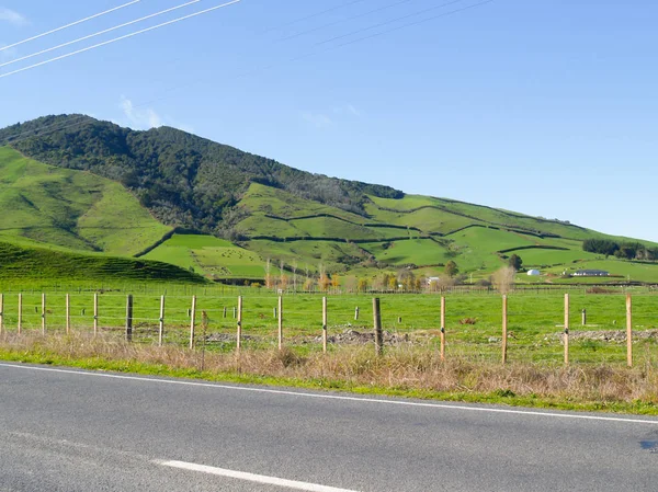 Typisch neuseeländisches flaches Land — Stockfoto