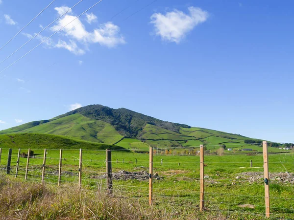 Typical New Zealand rolling countryside — Stock Photo, Image
