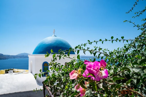 Iconische blauwe koepel en roze bougainvillea van Santorini — Stockfoto