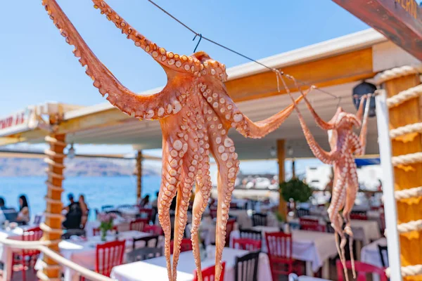 Octopus hanging outside restaurant by the sea, at Ammoudi Bay on