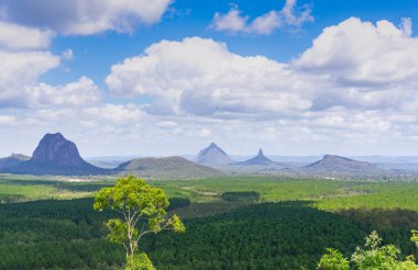 Avustralya manzarası düz geniş Queensland 'dan Vahşi 