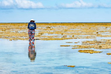 Mercan kayalıklarında gezen turist kaya havuzları keşfediyor