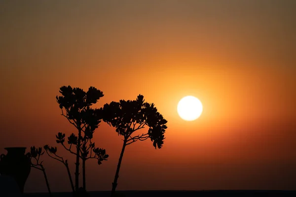 Silhouette lever de soleil sur Santorin — Photo