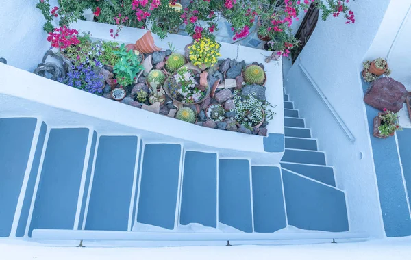 밝은 플로 우 와 함께 아래로 내려가고 바위 정원 주위를 도는 파란 계단 — 스톡 사진