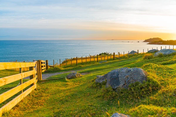 View across green field with large rocks and wooden fence — Stock Photo, Image