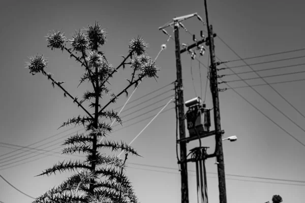 Electrical power lines cross the sky forming patterns over power