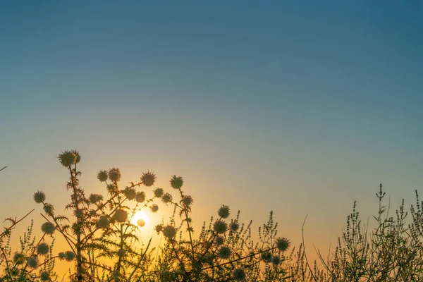 Energi av solen — Stockfoto