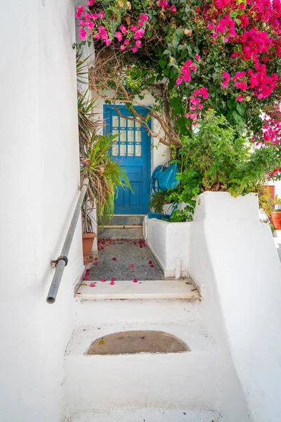 Entrance and blue door framed by plants and bright pink bougainv — 스톡 사진