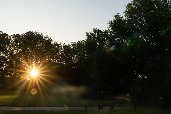 Sol explode através de árvores planas em torno de London Fields Park — Fotografia de Stock