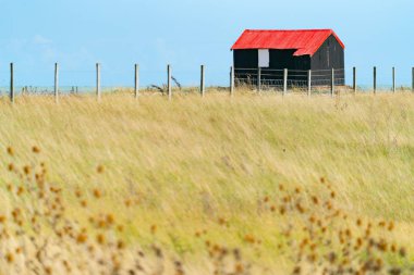 Rye Nature Reserve 'de kırmızı çatılı ünlü siyah kulübe.. 