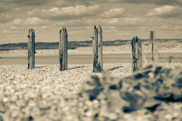 Restes Ancienne jetée détruite sur la plage pierreuse le long de la rivière Rother — Photo