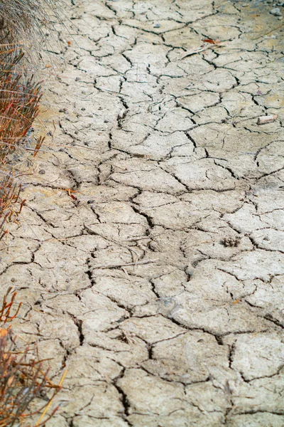 As conditions dry and drought occurs the land in wetlands dries