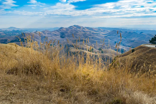 Te Mata山顶景观横跨周围的山丘和Hereta — 图库照片