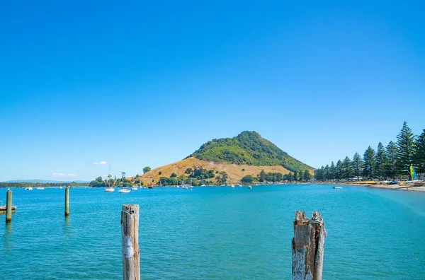 Tauranga Nova Zelândia Monte Maunganui Extremo Norte Baía Piloto Além — Fotografia de Stock