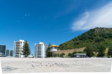 Tauranga, Yeni Zelanda - 24 Şubat 2020; Mount Main Beach 'teki Oceanside Twin Tower apartmanları yaz plaj gününün keyfini çıkaran insanlar için arka planda.