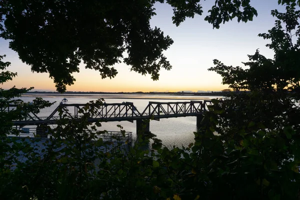 Taurangas Historische Eisenbahnbrücke Eingerahmt Von Grünen Bäumen Ende Der Elizabeth — Stockfoto