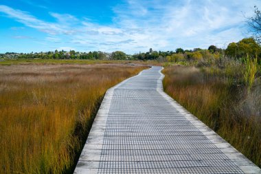 Tauranga 'nın Waikareo Estuary' sinin sulak alanlarında tahta geçit..