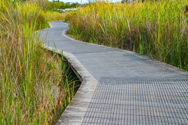 Paseo Madera Por Los Humedales Del Estuario Waikareo Tauranga —  Fotos de Stock