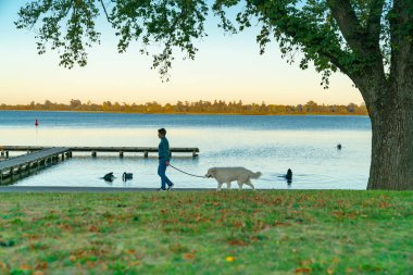 Ballarat Australia - 16 Mart 2020; Wendouree Gölü kıyısında sabah egzersizleri için köpeklerle yürüyüşe çıkan yürüyüşçüler ve koşucular.
