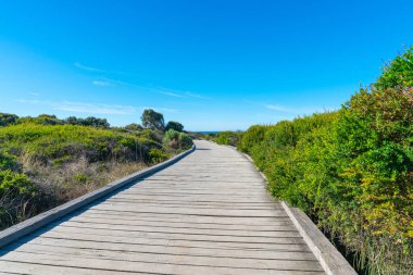 Victoria Avustralya 'daki Büyük Okyanus Yolu boyunca turistleri cezbeden Grotto jeolojik oluşumuna götüren alçak ağaçların ve kıyı bitkilerinin arasından süzülen ahşap yürüyüş yolu..