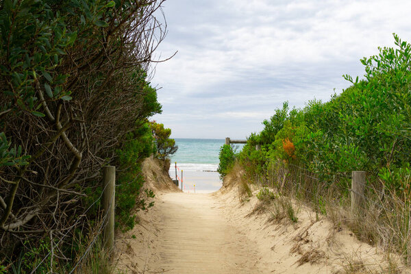 Песчаный путь через дюнную растительность к пляжу к краю воды
.