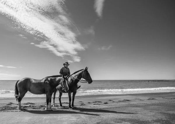 Kaha Nova Zelândia Janeiro 2013 Homem Montando Cavalo Liderando Outras — Fotografia de Stock