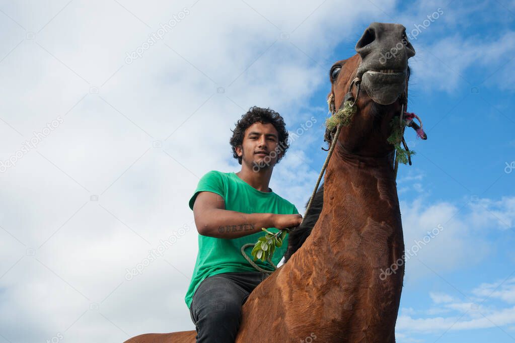 Te kaha New Zealand in January 2013 a young Maori man in green shirt bareback riding brown horse along beach.