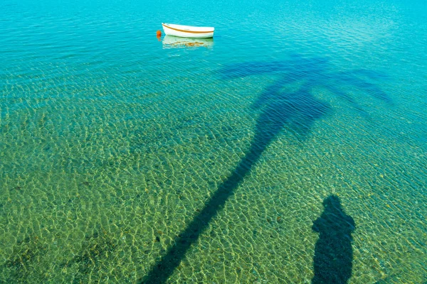 Idyllic Coastal Scene Calm Shallow Water Long Diagonal Palm Tree — Stock Photo, Image