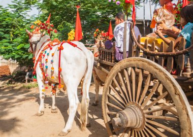 Bagan, Myanmar - 31 Ekim 2013; Bölge Heritage Site yakınlarındaki Festival Geçit Töreni 'nde süslü beyaz at arabası.